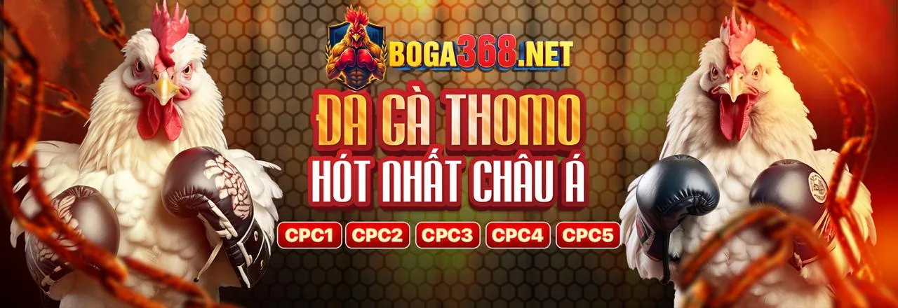 Hướng dẫn đặt cược đá gà 69win